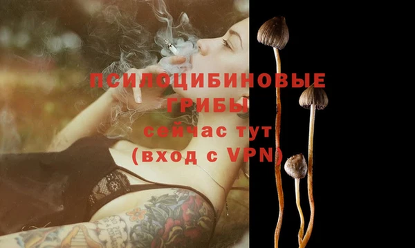 герыч Гусев