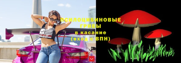 тгк Гусиноозёрск